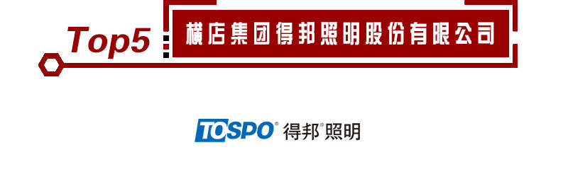 米乐m6官网登录入口：2020年照明灯具十大品牌入选企业名单重磅宣告！(图6)